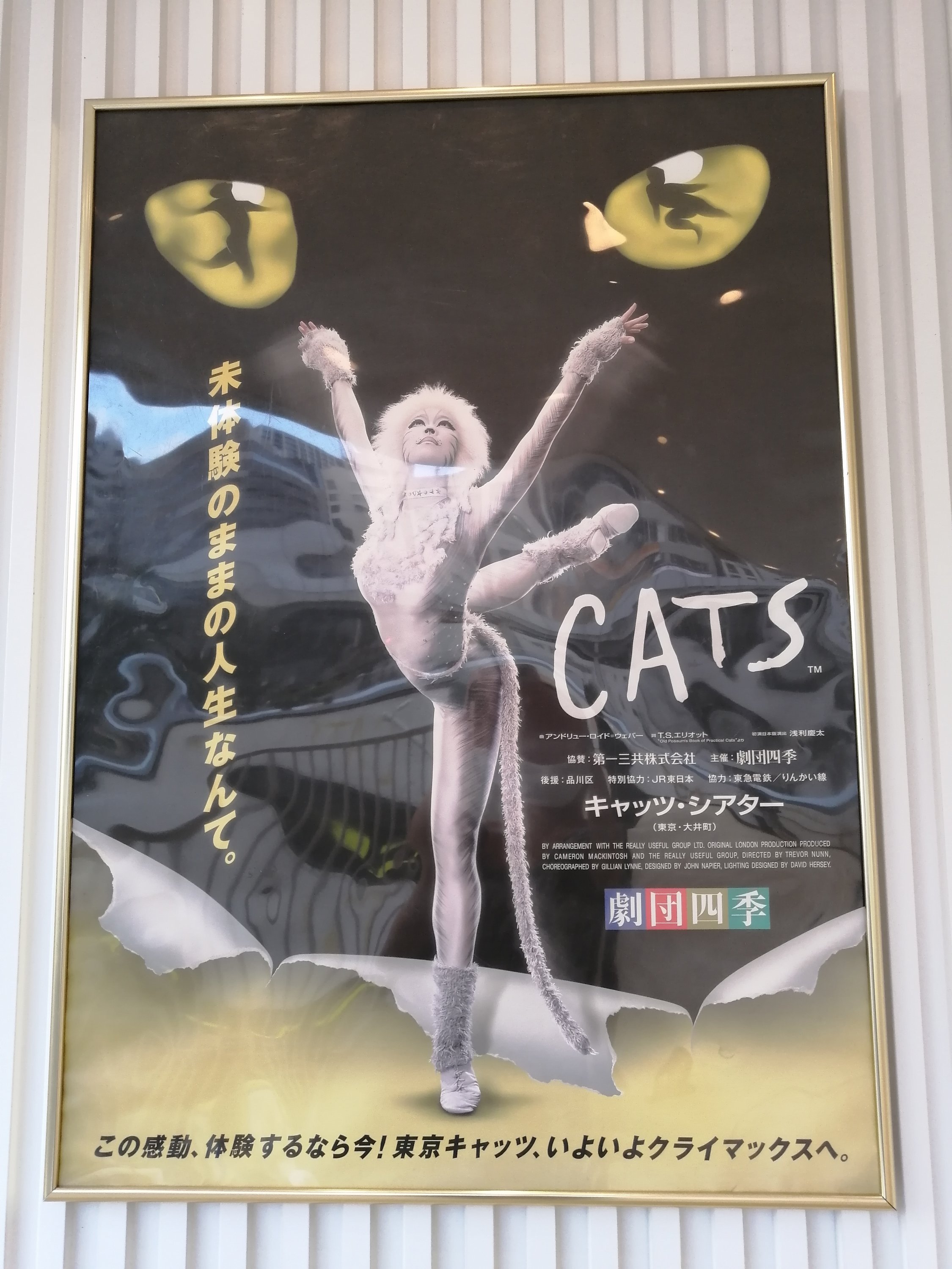 劇団四季 CATS 首輪 - 通販 - pinehotel.info